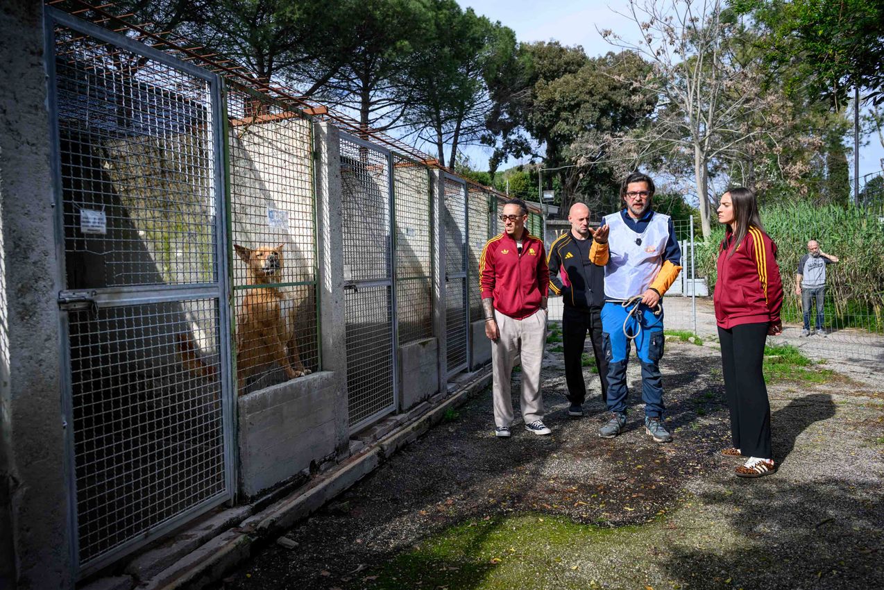 As Roma Gallery Image - Tsimikas e Corelli al canile