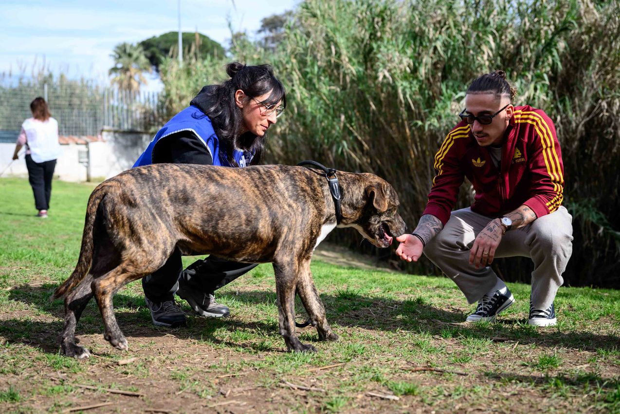 As Roma Gallery Image - Tsimikas e Corelli al canile