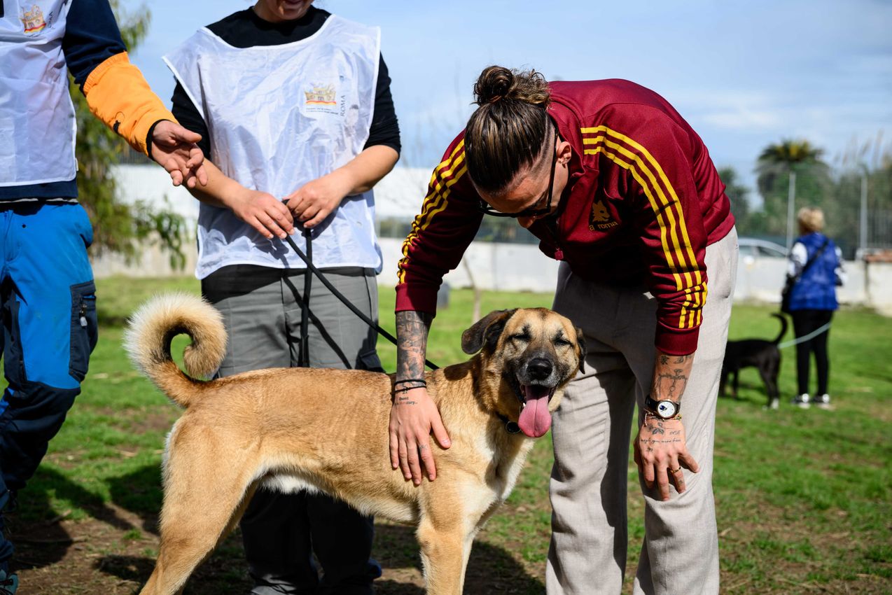 As Roma Gallery Image - Tsimikas e Corelli al canile