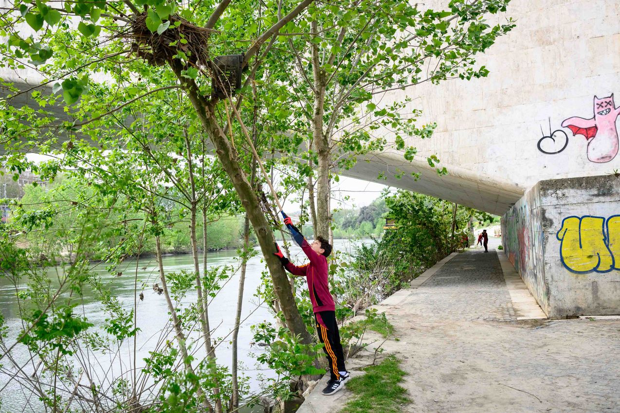 As Roma Gallery Image - Ogyre X ASRoma