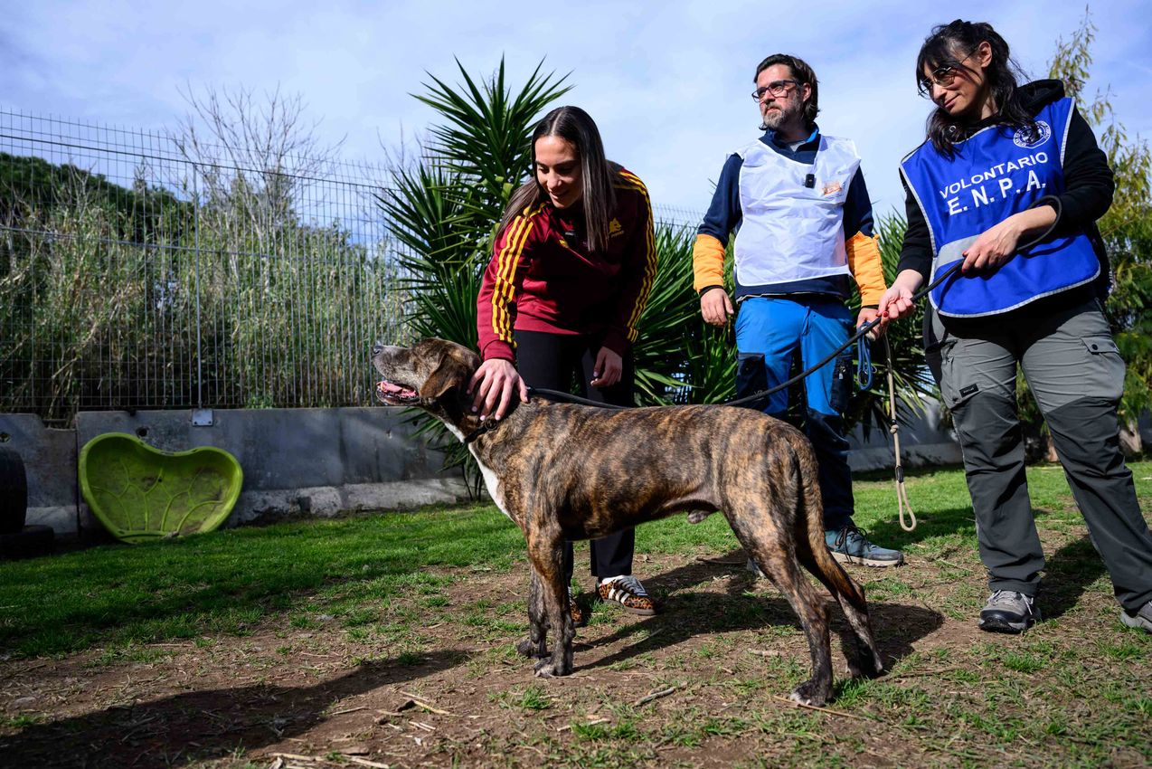 As Roma Gallery Image - Tsimikas e Corelli al canile