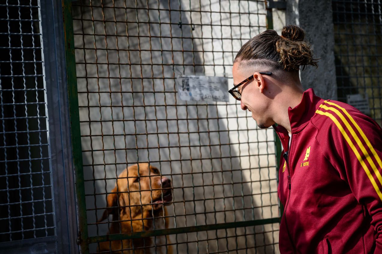 As Roma Gallery Image - Tsimikas e Corelli al canile