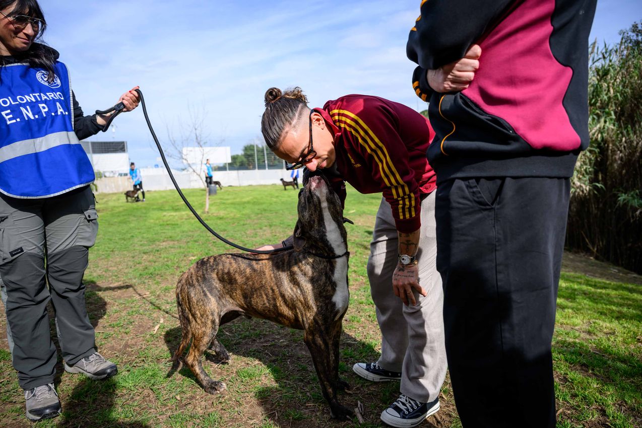 As Roma Gallery Image - Tsimikas e Corelli al canile