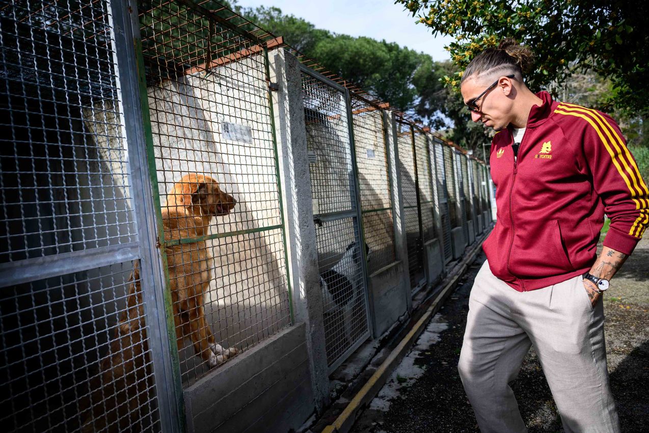 As Roma Gallery Image - Tsimikas e Corelli al canile