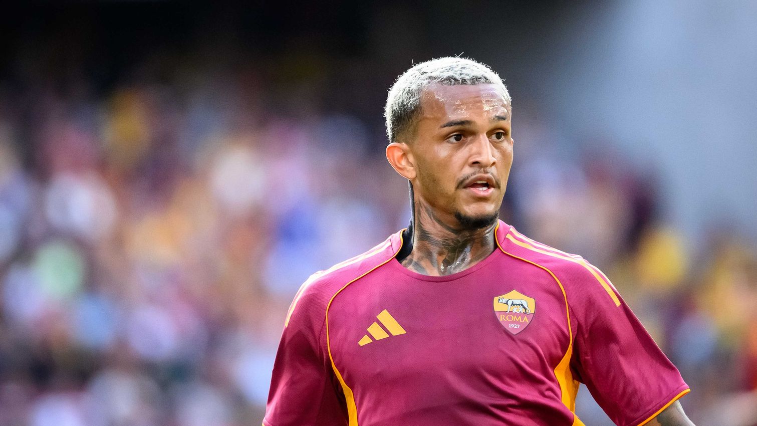 As Roma Gallery Image - Lens