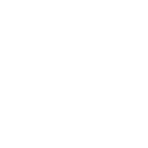 Coppa Italia